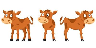 Calf in different poses vector