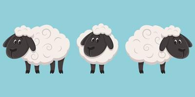 Sheep in different poses vector