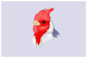 Cardinal bird hand drawing in realistic style