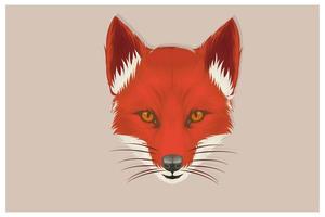 Hand drawn fox head in front view vector