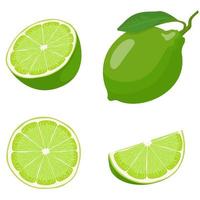 Lime line icon in vector, citrus fruit illustration 29454155 Vector Art at  Vecteezy