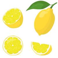Whole and sliced lemon set vector