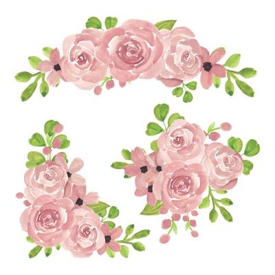 Watercolor pink rose flower arrangement collection