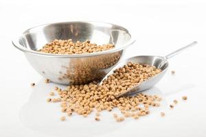Soybeans with  transfer scoop and bowl