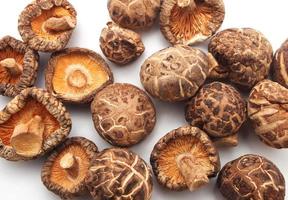 Dried mushrooms photo