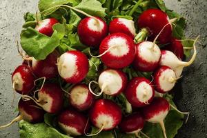 Ð¡oncept of vegan food - radishes with water drops photo