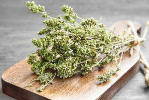 Thyme Culinary Herb photo