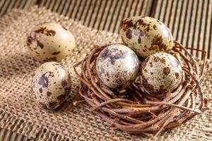 Quail eggs in the nest closeup