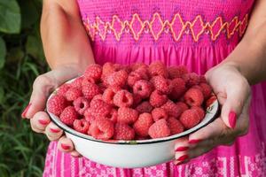 Hands holding a bowl of raspberries