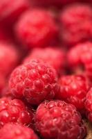 Close-up of fresh, organic respberry with red berry background photo