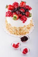 Fruit Cake On White photo