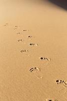 Foot print in desert sand photo