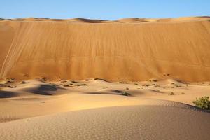 The Arabian Desert Sand Tsunami