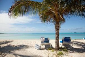 tropical beach with sun lounges photo