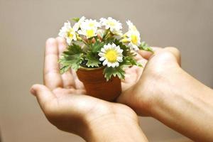 Hand holding a flowerpot