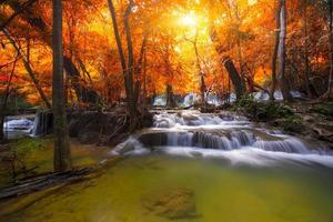 bosque de otoño foto
