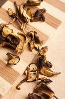 Dried forest mushrooms photo