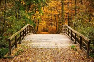 Bridge in autumn forest photo