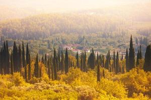 bosques y campos croatas foto