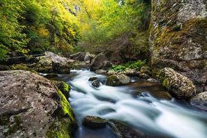 río de montaña que fluye a través del bosque verde foto
