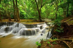 cascadas en selvas tropicales