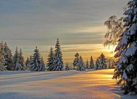 Winter evening in the Black Forest, Germany