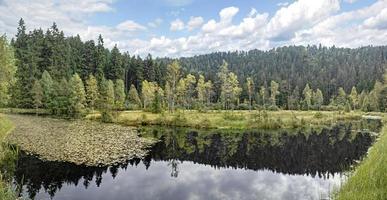 Lake in the Black Forest