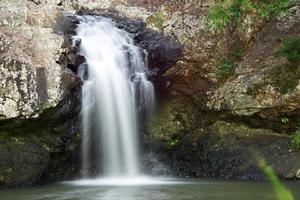 Beautiful Kondalilla Waterfall. photo