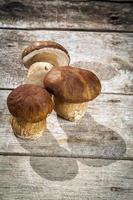 Fresh Boletus Edilus mushrooms on a wooden table photo