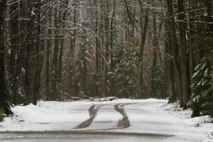 tire tracks on snowy road photo