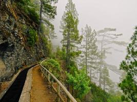 Nacientes Marcos y Cordero Trail, La Palma