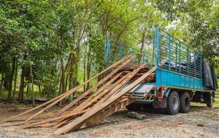 pile of old plank and  truck with forest background photo