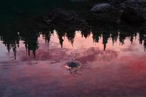 Sunset Reflected in a Mountain Lake photo