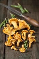 Shanterelle mushrooms