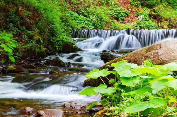 Cascading waterfall of a mountain stream in the Carpathians 4709528 Stock  Photo at Vecteezy