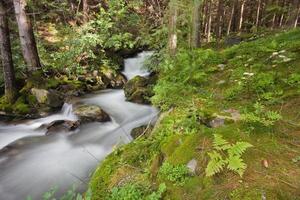 Alpine stream photo