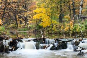Golden forest with flowing river water through stones at autumn photo