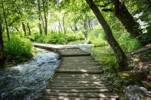 Wooden Hiking Path or Trail over Water photo