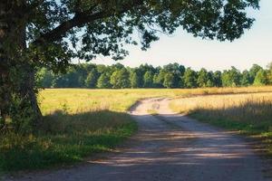 Countryside ground road in sunny day photo