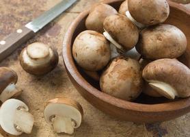 Champignon /Button mushroom photo