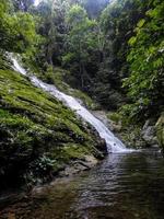 Lupa Masa rainforest at Borneo
