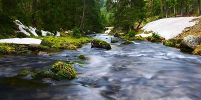 water of river flows through mossy rocks and green landscape photo
