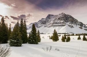 Winter in Banff National Park photo