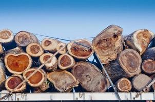 transporte de troncos en un camión foto