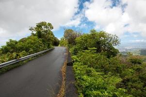 Mountain top road, Oahu, Hawaii