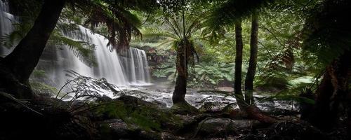 Waterfall in Tasmania photo