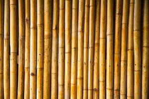 Bamboo wall photo