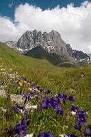 Caucasus Mountains - Chaukhi mountain group photo