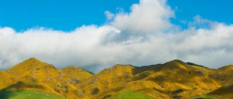 Mountains of New Zealand photo