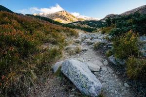 Mountain scenery with path leading to top. Tatras, Slovakia, Europe.